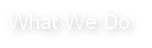 What We Do